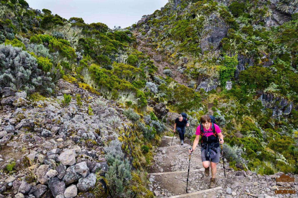 Montée du piton des Neiges.