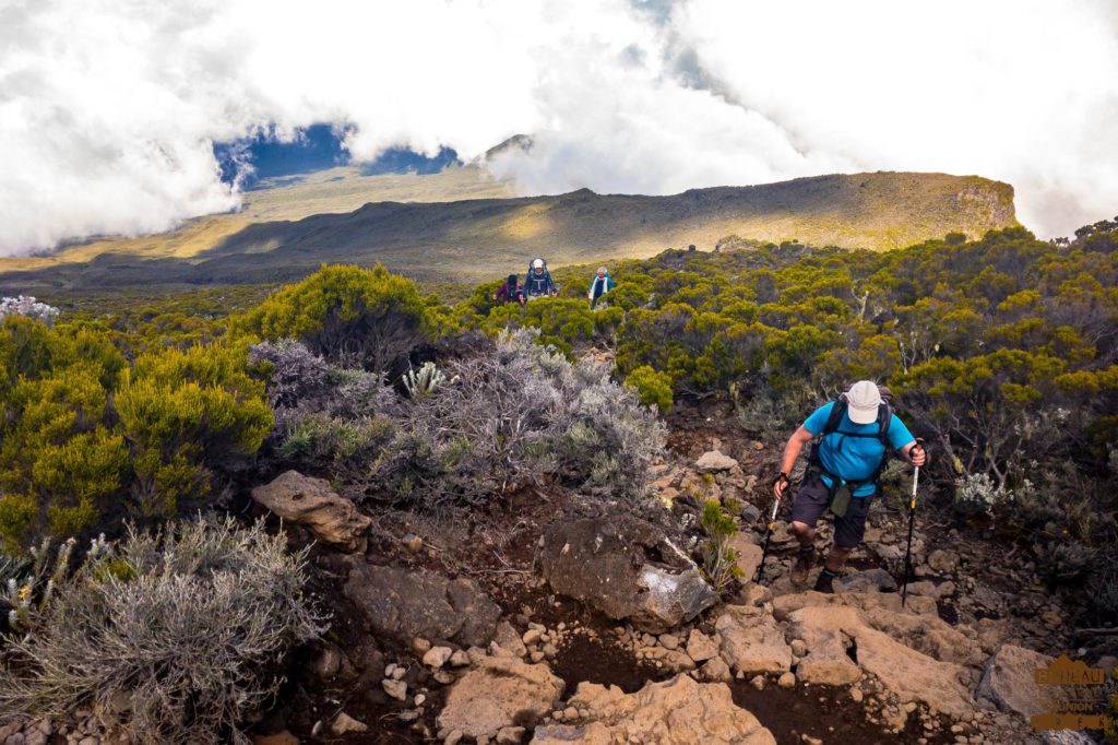 randonneurs Montée au Piton des Neiges réunion