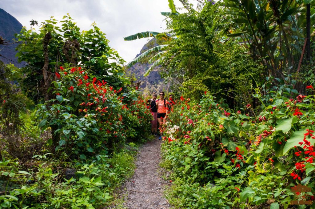 ilet cayenne mafate fleurs randonneurs