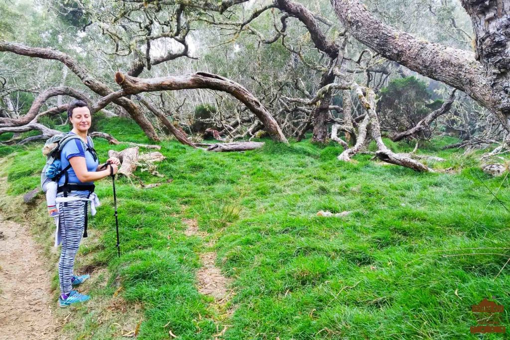 BMR Trek agence randonn&eacute;e d&eacute;couvert du haut mafate la R&eacute;union