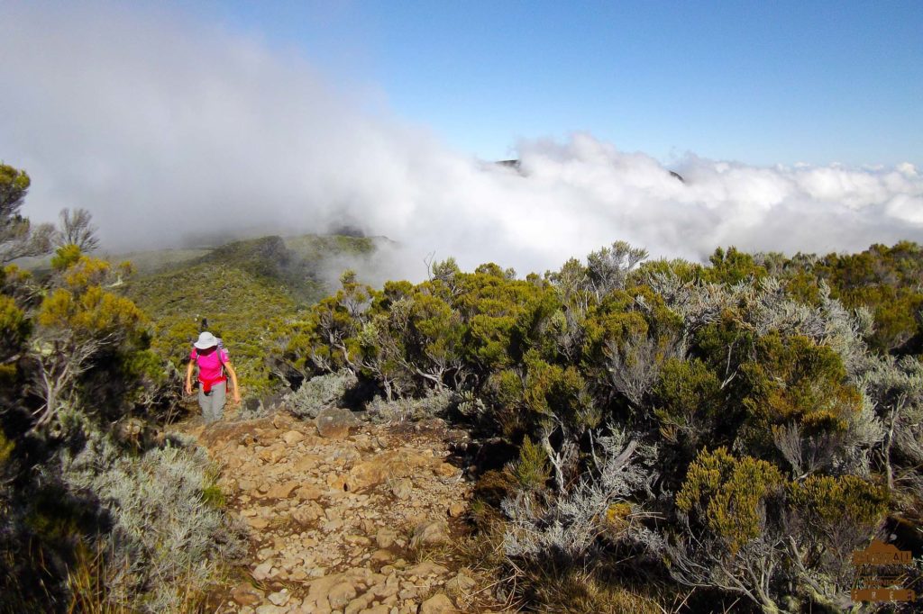 randonnée réunion trek agence GRR2 diagonale traversée coteau Kerveguen