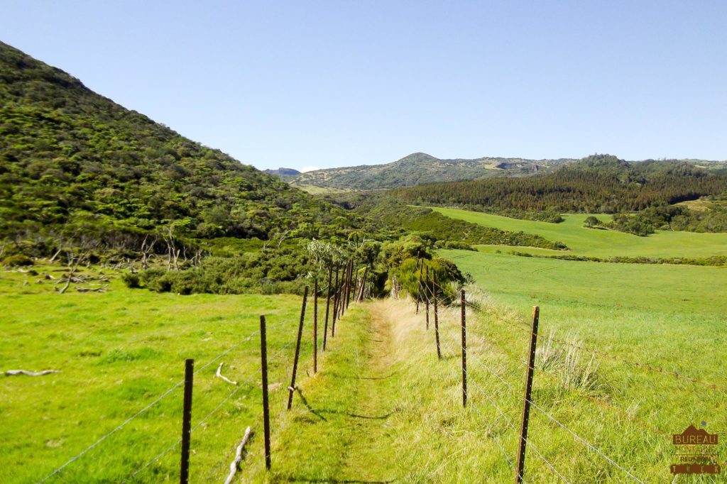 randonnée réunion trek agence GRR2 diagonale traversée plaine des cafres paturages