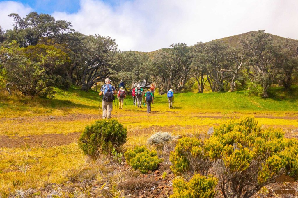 randonnée réunion trek agence GRR2 diagonale traversée bois d'ozou fournaise randonneurs