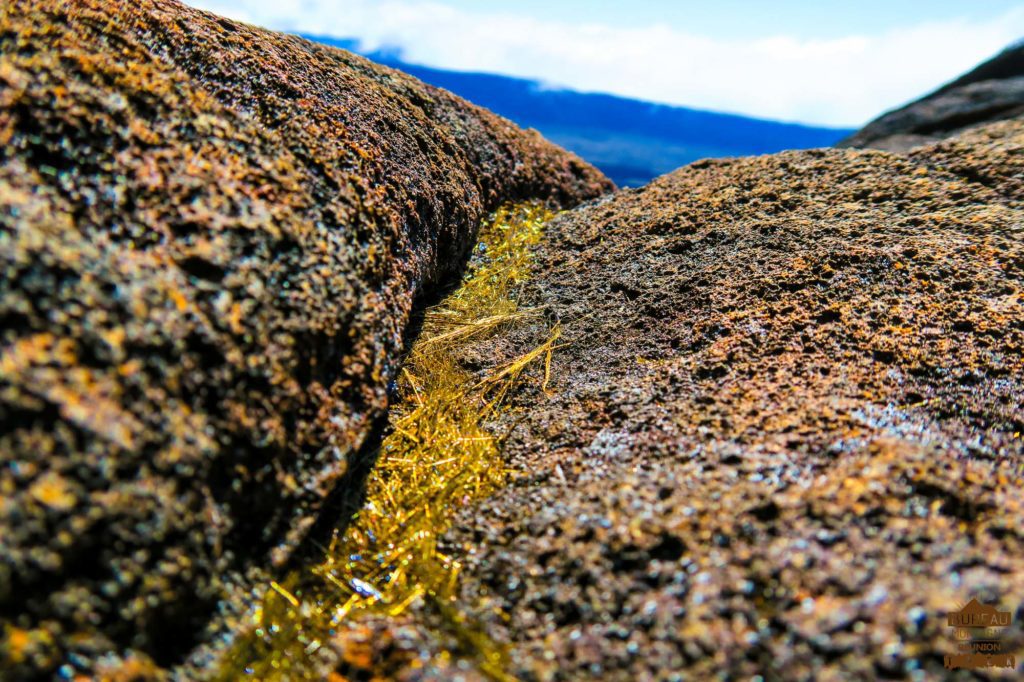 Piton de la Fournaise, cheveux de pélé.