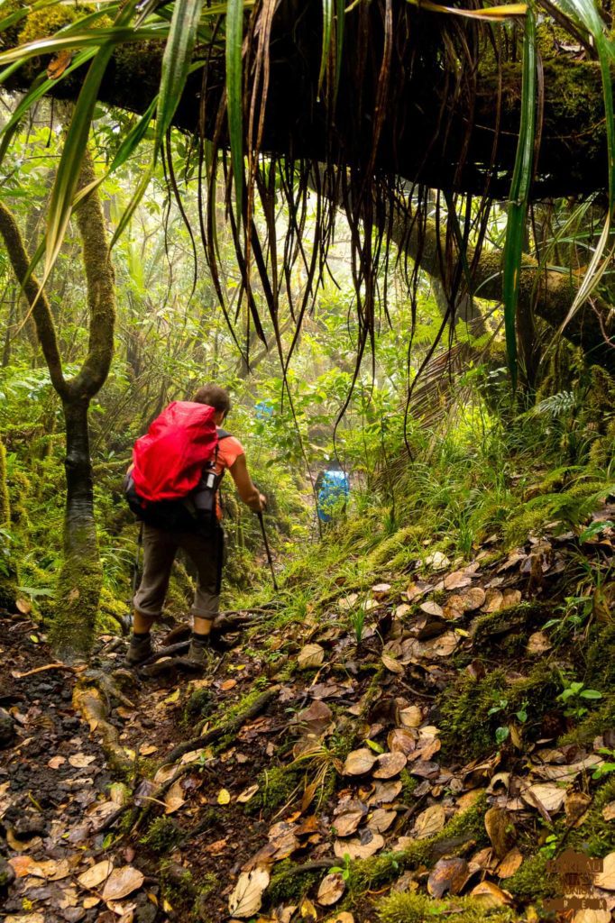 randonnée réunion trek agence GRR2 diagonale traversée volcan fournaise puys ramond foc-foc