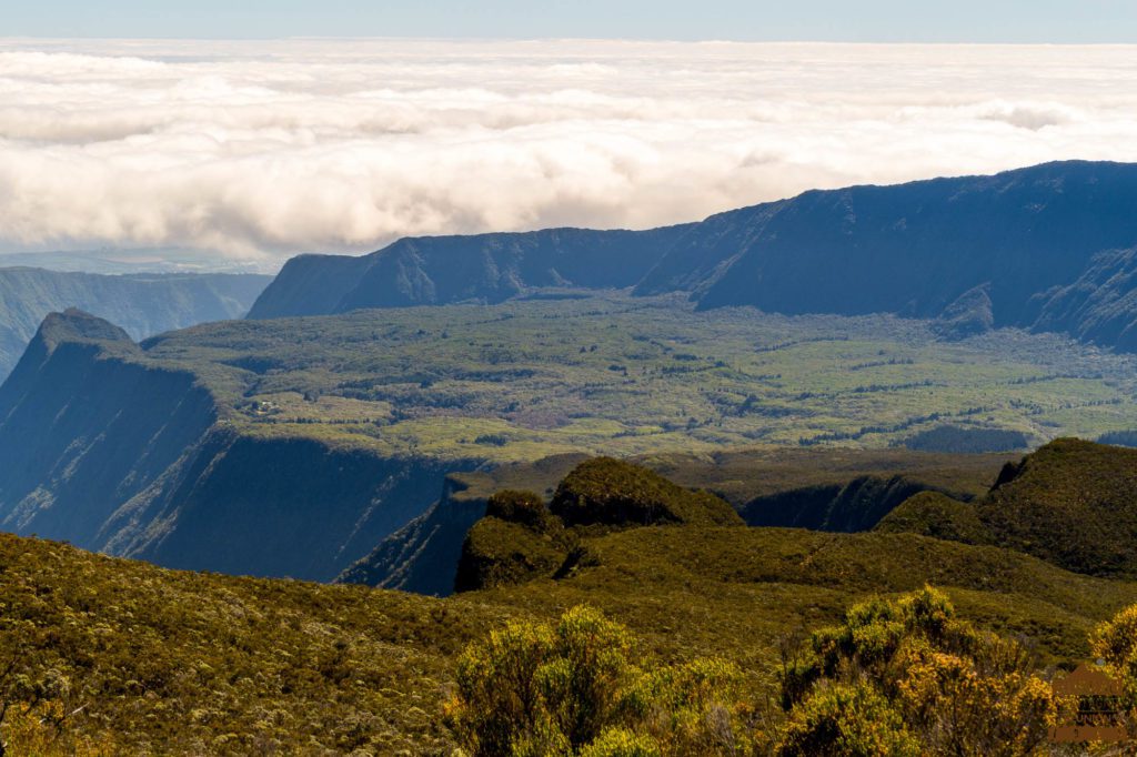 La forêt de Bélouve, le Cap Anglais mazerin trek réunion guide 974