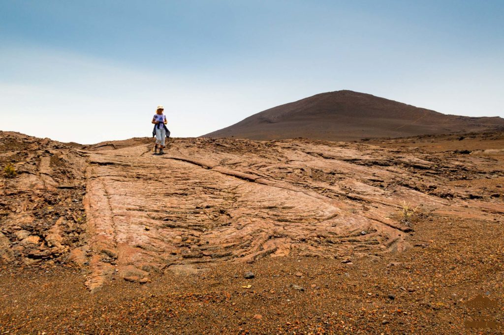 randonneur Hors-sentiers dans la Plaine des Sables piton chisny trek guide réunion 974