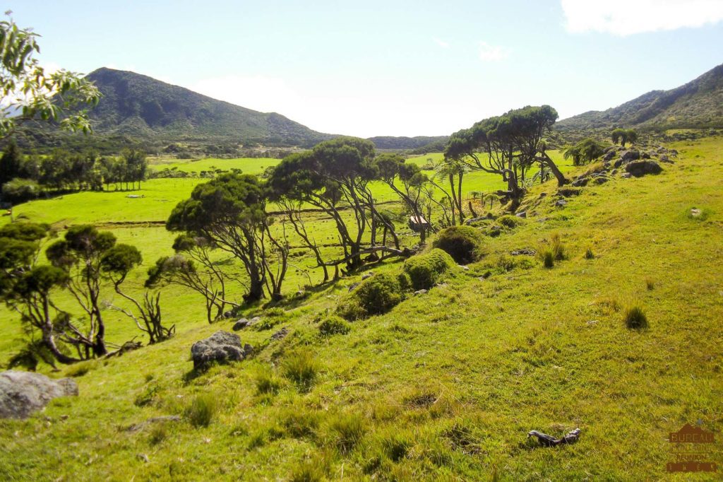 BMR Trek agence randonnée trail réunion 974 guide