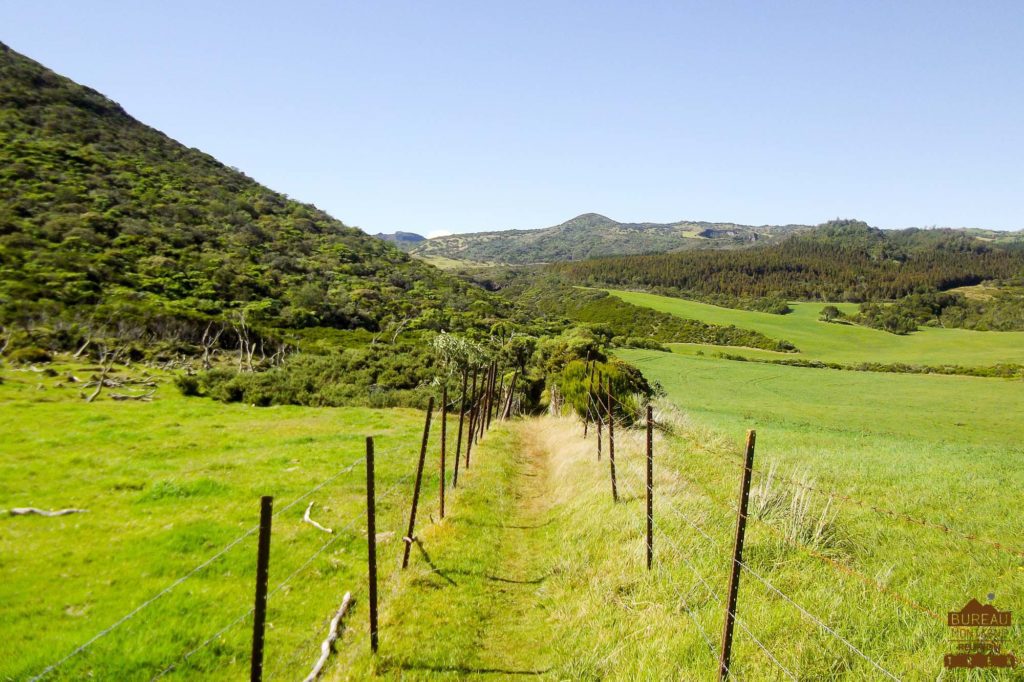 Pâturages de la Plaine des Cafres sentiers réunion trek guide 974