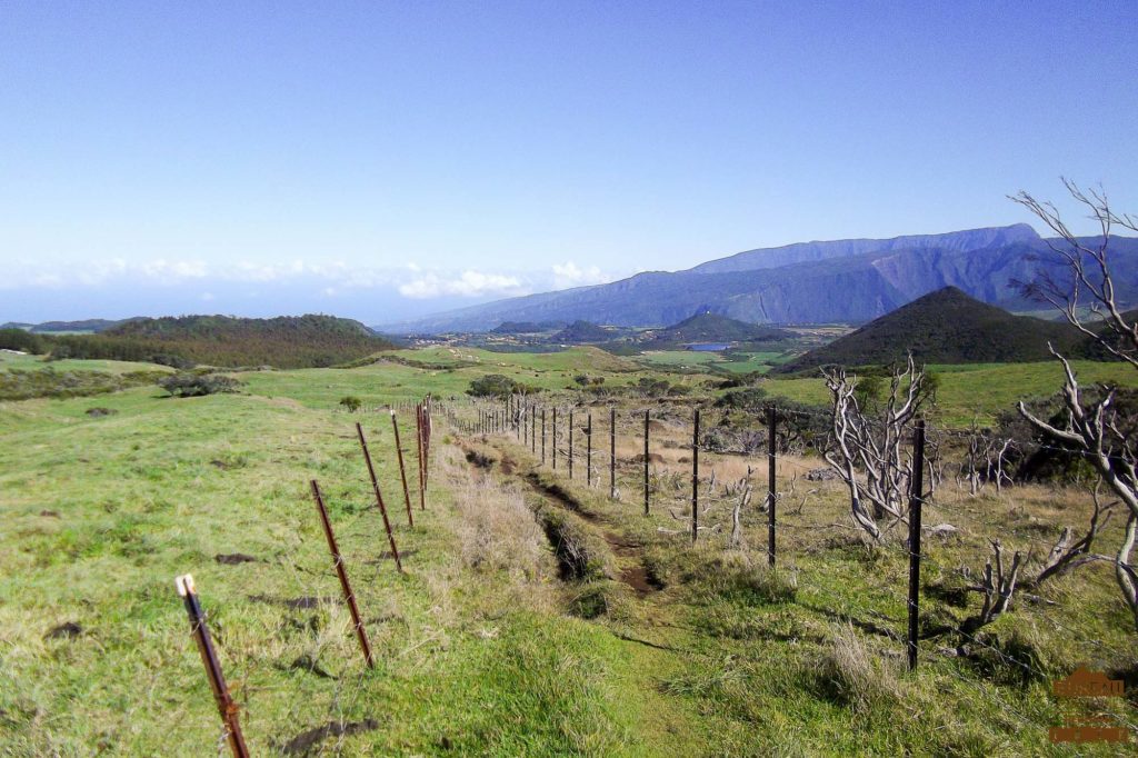 Pâturages de la Plaine des Cafres sentier réunion trek guide 974