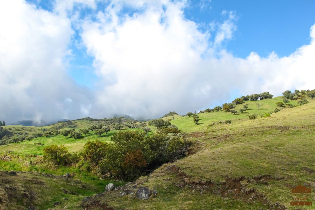 Pâturages, la Plaine des Cafres volcan fournaise réunion trek guide