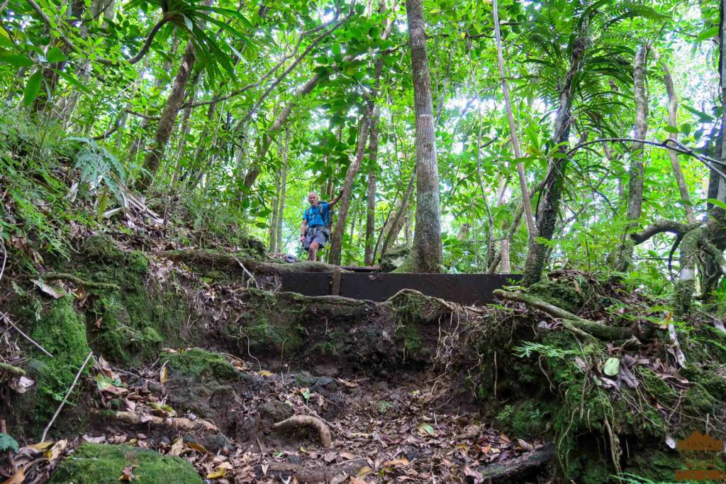 randonnée réunion sud sauvage foret mare longue basse vallée