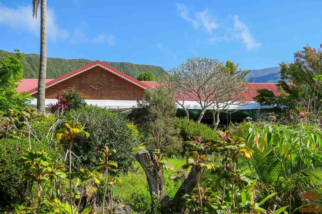 randonnée réunion sud sauvage foret mare longue basse vallée