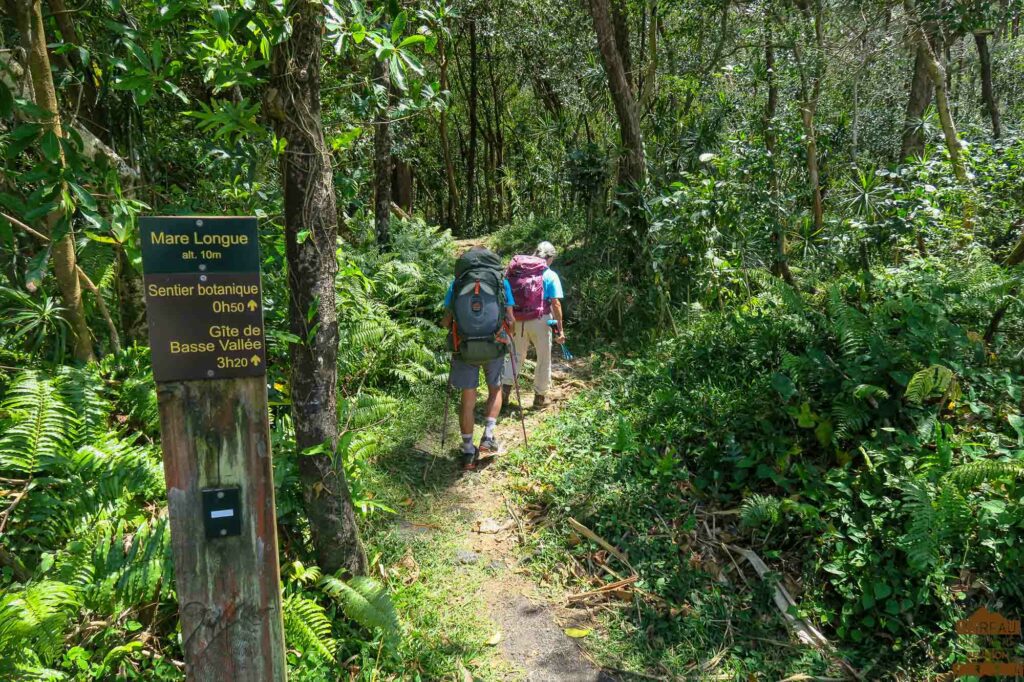 randonnée réunion sud sauvage foret mare longue basse vallée