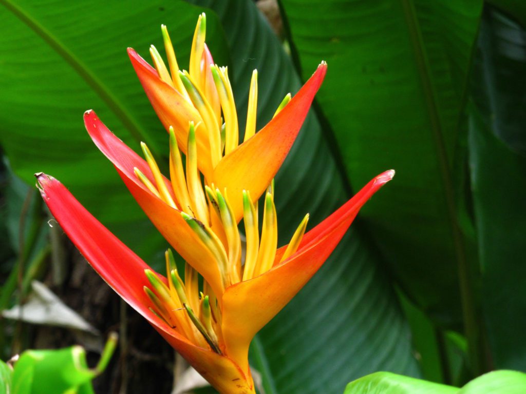 BMR Trek Agence - boucle du sud sauvage