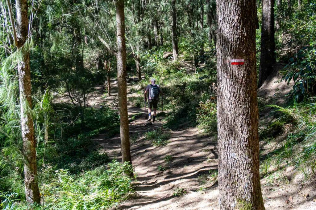 BMR trek - traversée cirque mafate cilaos