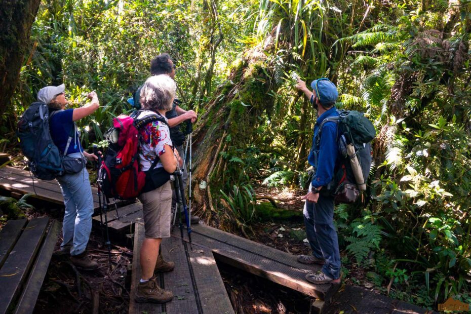 guide accompagnateur montagne réunion