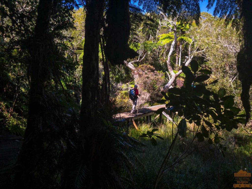 randonnée bélouve trou de fer la réunion