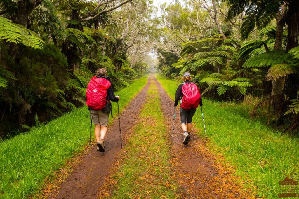 randonnée bélouve trou de fer la réunion, difficulté des randonnées et treks à la Réunion