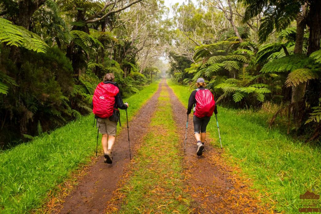 randonnée bélouve trou de fer la réunion