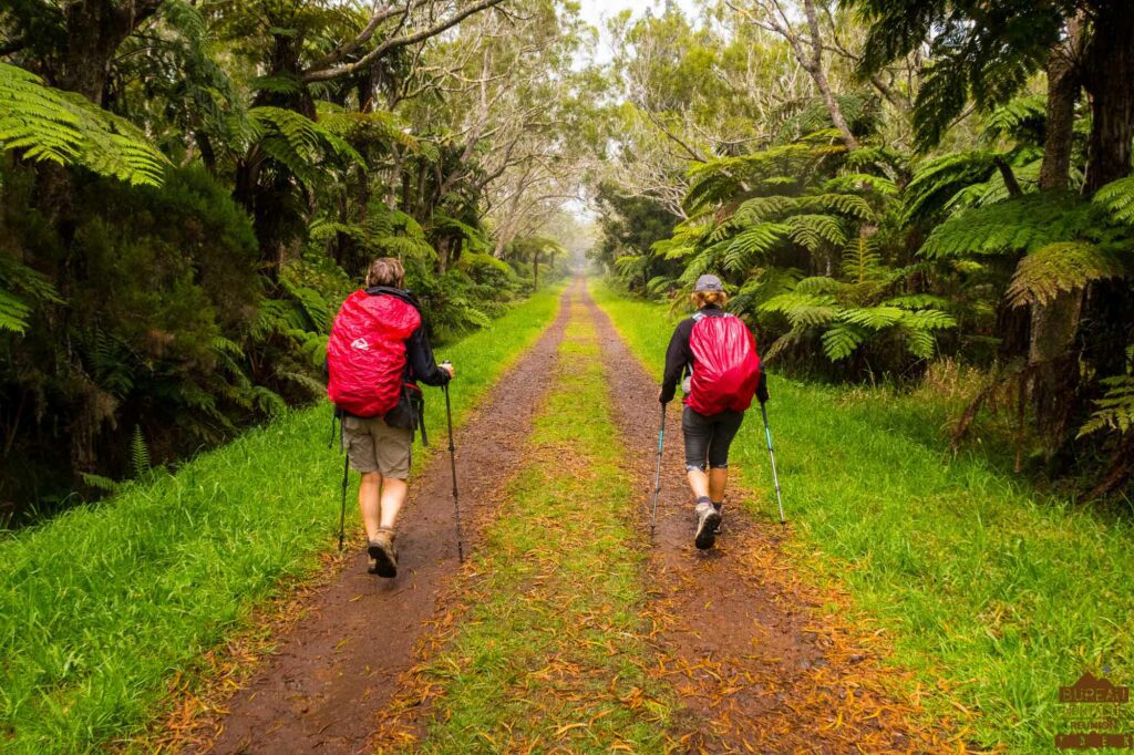 randonnée bélouve trou de fer la réunion