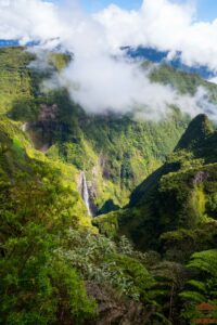 randonnée bélouve trou de fer la réunion