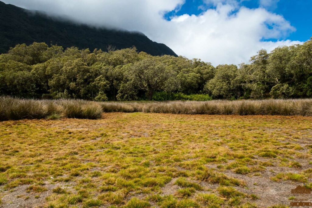 randonnée bélouve trou de fer la réunion