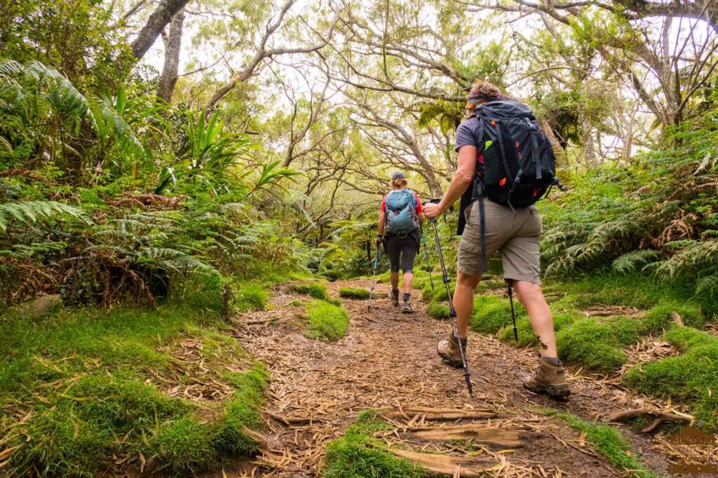 randonnées guide réunion journée