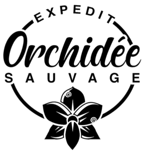 gite expedit orchidée sauvage marla mafate la réunion