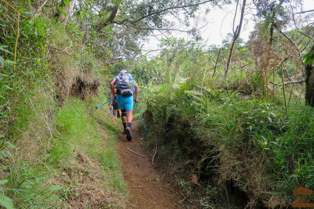 rando dimitile la Réunion