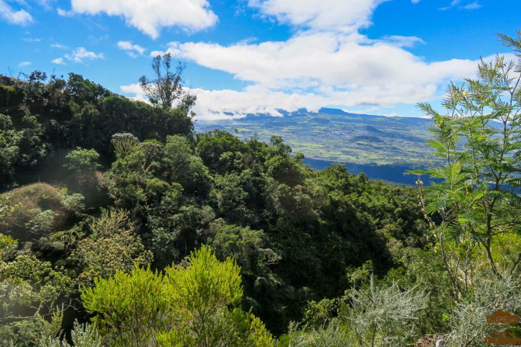 rando dimitile la Réunion