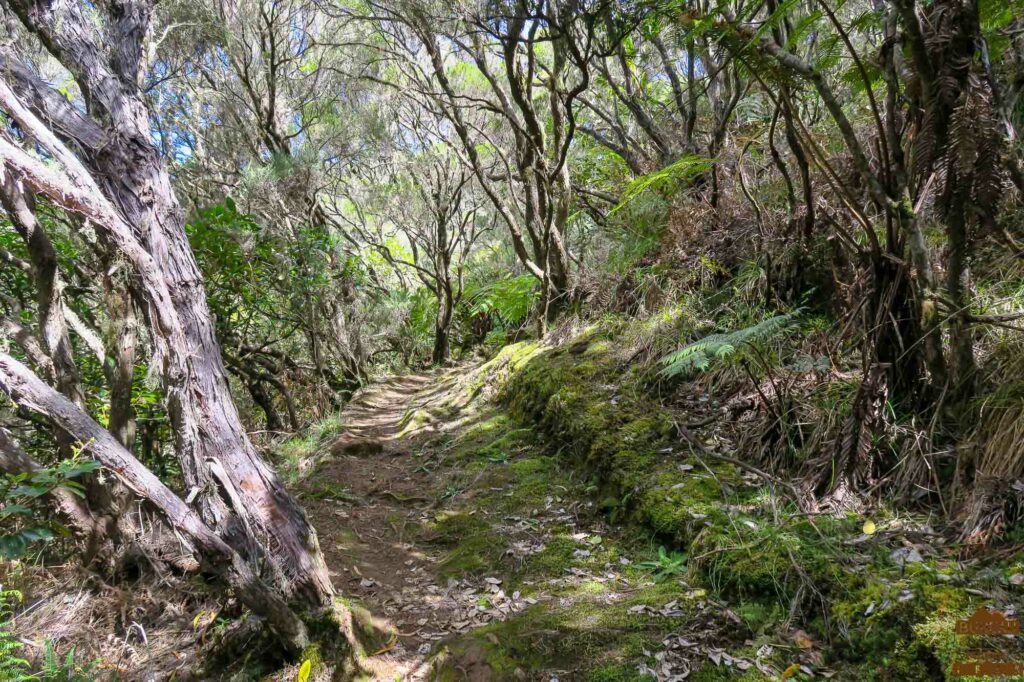 rando dimitile la Réunion