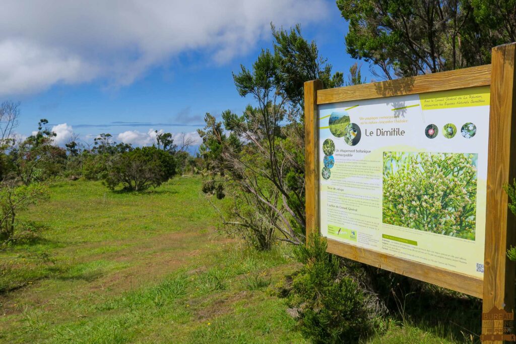 rando dimitile la Réunion