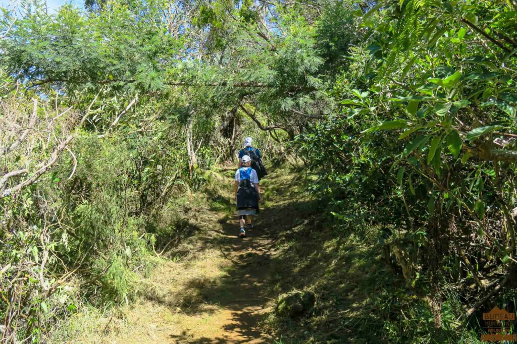 rando dimitile la Réunion