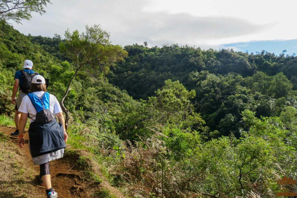 rando dimitile la Réunion