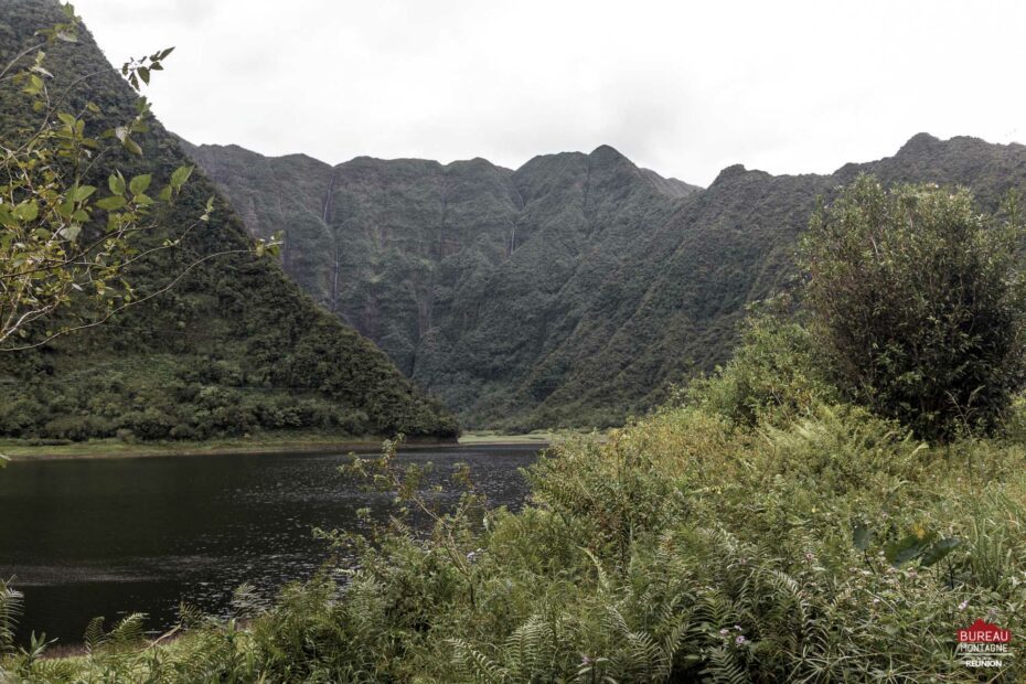 Randonnée le tour du grand étang, la Réunion