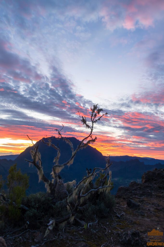 randonnée maïdo repas créole lever de soleil guide la réunion