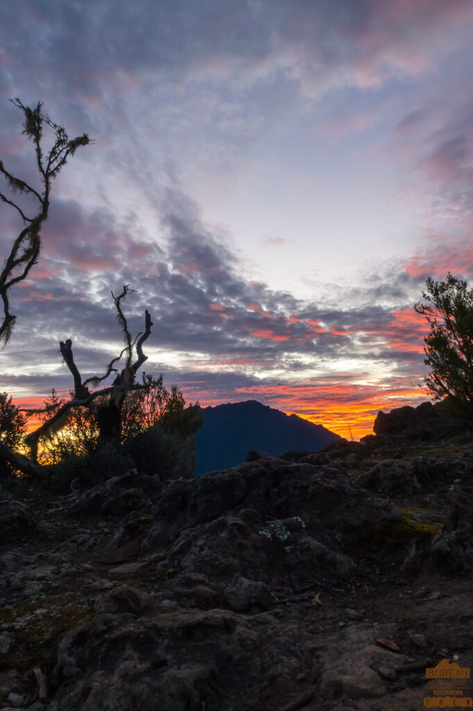 randonnée maïdo repas créole lever de soleil guide la réunion